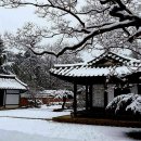 허난설헌 생가 설경(許蘭雪軒 生家 雪景) 이미지