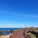 푸르다펜션 | 제주 한림 오션뷰펜션, 제주도 나만알고싶은 가성비 좋은 감성숙소 푸르다오션 내돈내산 후기