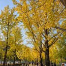 황금길 9-4 이미지