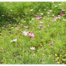 신흥근린공원 이미지