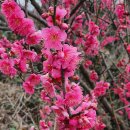 여난농장 이미지