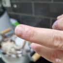 이마트 고래잇 페스타 가을 햇꽃게 두번째 구매 후기 ෆ
