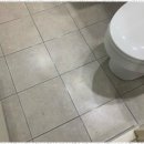 영 인테리어 이미지