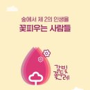 피톤치드라이프협동조합 네이버블로그