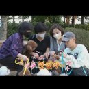 크러쉬 푸들 이미지