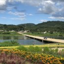 비내길 1구간 이미지