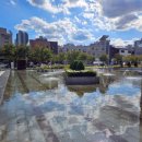 운중로225번길(판교공원로) 이미지