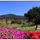 파인힐스골프장 이미지