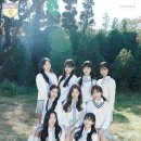 프롬들 이미지