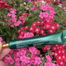 주식회사 루트랩 (ROOT LAB) | 탈모 고민 해결, 헤어 에센스 루트랩 그로우 팩💚 사용 후기