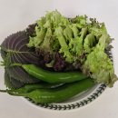 르노삼성자동차서비스코너상인점 | 수협 강서수산물도매시장 해산물 포장 후기 광어 시세와 주말 주차 무료 꿀팁