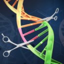 [바이오토픽] 당신의 자녀라면, CRISPR로 유전자를 교정해줄 텐가? 이미지
