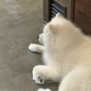 겨울이 머무는 집 이미지