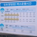 냥치케 여수 이미지