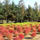 난지천공원 이미지