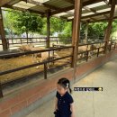 서윤목장 이미지