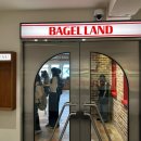 베이글랜드 성수점(Bagel Land)