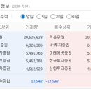 동일이브이