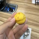 [해남여행] 엄마랑 언니랑 땅끝모노레일, 해남맛집, 부안관광호텔, 채석강 ✨