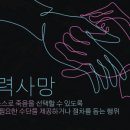 박진아디자인