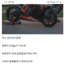 덤갤러리 이미지