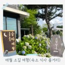 애월읍 소길리풋감마을 | 제주 애월 소길리, 감성숙소 글라애월 &amp; 인생 돈가츠 서황