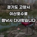 조행 | 일산 이산포수로 상류권 짬낚시 조행 후기