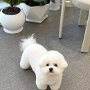 몽메이트