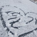 배바우농장 이미지