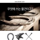 세중인터내셔날 이미지