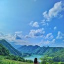 영업목장 이미지