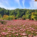 가을운동화빨래방 이미지