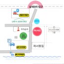 리나서프 이미지