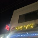 막창선생 | 속초 현지인 맛집 <막창선생>