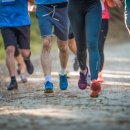 치매예방 인지케어 두뇌운동 이미지