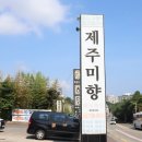 카카오 이미지