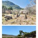 유가사등산로 이미지