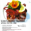 서해마린