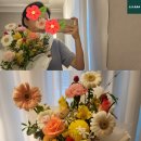 솔루플라워 이미지