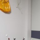 양감우체국 | 웨스턴일렉트릭 BEST 주석도금 스피커케이블