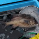 축산랜드 이미지