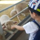 민성목장 이미지