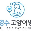 이영수고양이병원