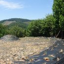말매산(79m)우제봉(161m) 시대산(229m) 기대백이산(98m) 두리봉(101m)/전북 익산