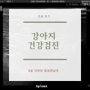 엘 동물병원 이미지