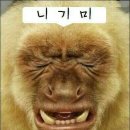 강남대중탕