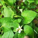 영부농장 이미지