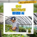 정재영농장 이미지