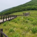 곰배령마루 이미지