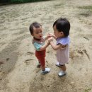 하이어린이집 | 13개월 아기 어린이집 등원 일상/산본 플로렌스 돌잡치 스냅 로이스타일 후기/어린이집 유아식/걸음마연습